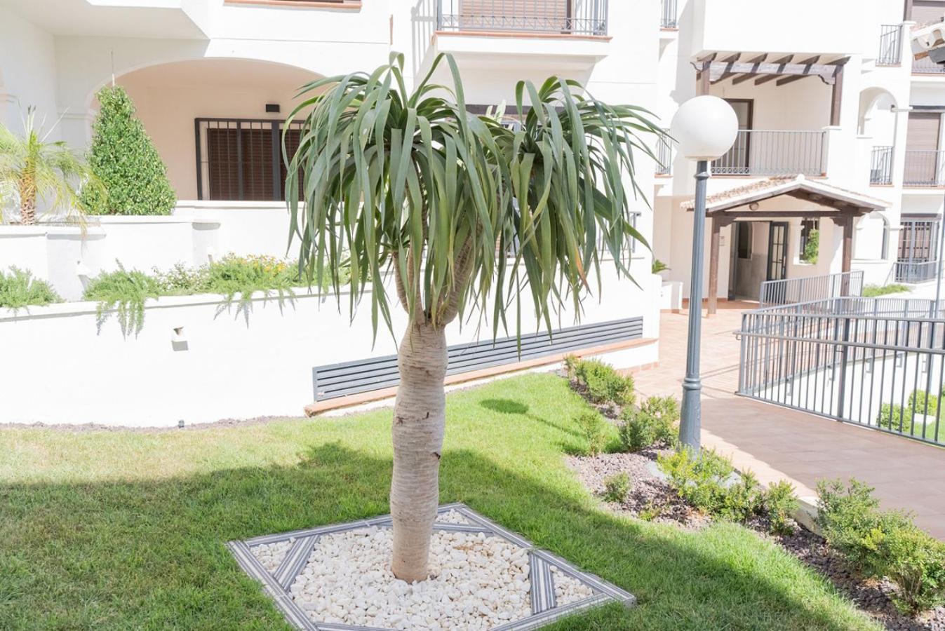 Todimer New Pueblo Mediteraneo Itrabo Exterior photo
